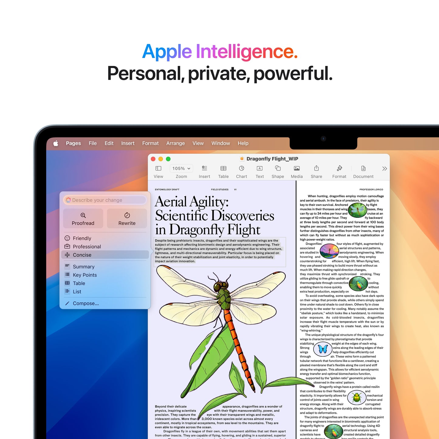 13-inch MacBook Air M4